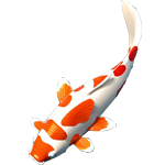 中国传统金色鲤鱼装饰图案