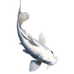 中国传统金色鲤鱼装饰图案